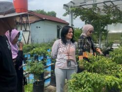 Program BRInita Bri Peduli Solusi Kreatif Untuk Penuhi Kebutuhan Pangan Secara Mandiri