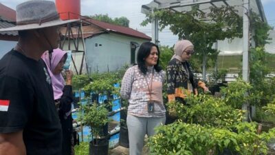 Program BRInita Bri Peduli Solusi Kreatif Untuk Penuhi Kebutuhan Pangan Secara Mandiri