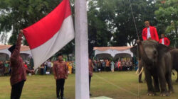 Upacara HUT ke-80 RI di BBKSDA Riau, Gajah Sumatera Mencuri Perhatian Undangan