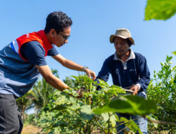 Semangat Hari Tani 2025: Kilang Pertamina Dumai Sulap Lahan Gambut Jadi Sumber Ekonomi Petani