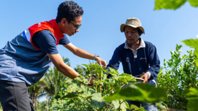 Semangat Hari Tani 2025: Kilang Pertamina Dumai Sulap Lahan Gambut Jadi Sumber Ekonomi Petani