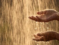 Waspada! BMKG Prediksi Hujan Deras dan Angin Kencang Guyur Kampar hingga Pekanbaru