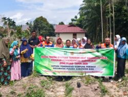 ‎PT BSP Kembangkan TOGA di Kampung Perincit, Dorong Kemandirian Kesehatan Warga