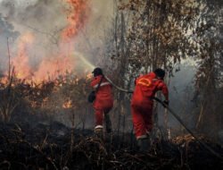 433 Hotspot Terdeteksi di Sumatera, Riau Sumbang 46 Titik