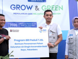 Komitmen ESG, BRI Pekanbaru Tanam 100 Pohon Peoduktif di Air Dingin
