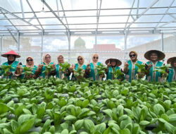 Kisah Perempuan Tangguh Penjaga Iklim di Air Jamban: Saat Lahan Gersang Berubah Menjadi Ladang Cuan