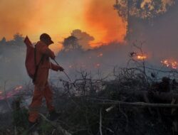 ‎Hotspot Terus Bertambah, Lima Daerah di Riau Tetapkan Status Siaga Darurat Karhutla
