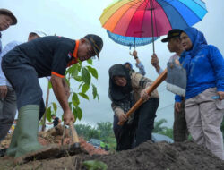 Afni Ajak Warga Rawat Pohon, 5.050 Bibit Ditanam di Jalur Mempura-Dayun